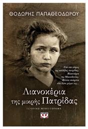Λιανοκέρια της Μικρής Πατρίδας, Ιστορικό Μυθιστόρημα
