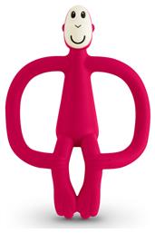 ΜΑΣΗΤΙΚΑ & ΕΙΔΗ ΟΔΟΝΤΟΦΥΐΑΣ