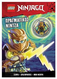 Ninjago, Πραγματικός Νίντζα από το e-shop