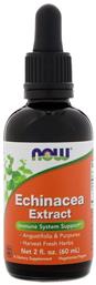 Now Foods Echinacea Extract Liquid 60ml από το Pharm24