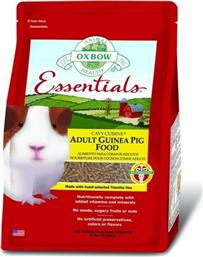 Oxbow Χόρτα για Ινδικό Χοιρίδιο Adult Guinea Pig 2.27kg από το Plus4u