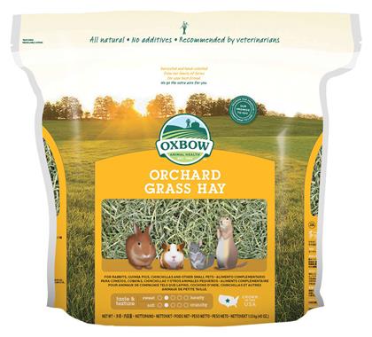 Oxbow Χόρτα για Ινδικό Χοιρίδιο / Χάμστερ / Σκίουρο / Κουνέλι Orchard Grass Hay