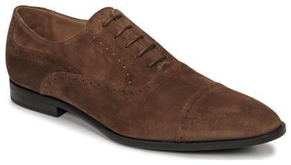 Oxfords Pellet ALEX