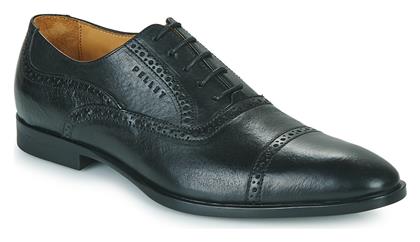 Oxfords Pellet ALEX