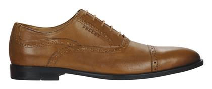 Oxfords Pellet ALEX