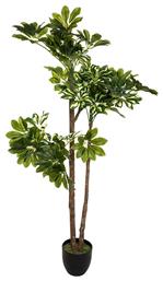 Pakketo Τεχνητό Φυτό σε Γλάστρα Green6 135cm