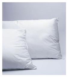 Palamaiki Sognio Βαμβάκι 2τμχ Μέτριο 9-050617-001 50x70cm 2τμχ