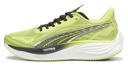 Puma Velocity Nitro 3 Ανδρικά Αθλητικά Παπούτσια Running Psychedelic Rush