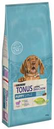 Purina Tonus Dog Chow Puppy 14kg Ξηρά Τροφή για Κουτάβια με Ρύζι και Αρνί από το Plus4u