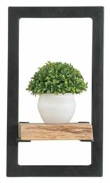 Ράφι Τοίχου Lizard Frame 20x25x35εκ. Μαύρο