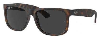 Ray Ban Γυαλιά Ηλίου με Καφέ Σκελετό RB4165 865/87