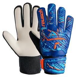 Reusch Attrakt Starter Solid Γάντια Τερματοφύλακα Ενηλίκων Μπλε