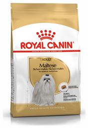 Royal Canin Adult Maltese 1.5kg Ξηρά Τροφή για Ενήλικους Σκύλους Μικρόσωμων Φυλών με Κοτόπουλο και Ρύζι από το Plus4u