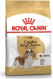 Royal Canin Cavalier King Charles Adult 1.5kg Ξηρά Τροφή για Ενήλικους Σκύλους Μικρόσωμων Φυλών με Καλαμπόκι, Κοτόπουλο και Ρύζι από το Plus4u