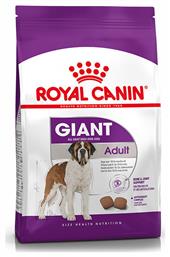 Royal Canin Giant Adult 15kg Ξηρά Τροφή για Ενήλικους Σκύλους Μεγαλόσωμων Φυλών με Πουλερικά και Καλαμπόκι