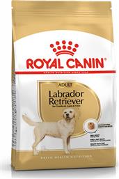 Royal Canin Adult Labrador Retriever 3kg Ξηρά Τροφή για Ενήλικους Σκύλους Μεγαλόσωμων Φυλών με Καλαμπόκι, Πουλερικά και Ρύζι