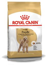 Royal Canin Poodle Adult 1.5kg Ξηρά Τροφή για Ενήλικους Σκύλους Μικρόσωμων Φυλών με Πουλερικά και Ρύζι