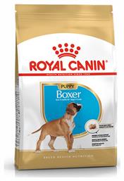 Royal Canin Puppy Boxer 12kg Ξηρά Τροφή για Κουτάβια Μεσαίων Φυλών με Πουλερικά και Ρύζι από το Plus4u