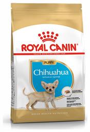 Royal Canin Puppy Chihuahua 1.5kg Ξηρά Τροφή για Κουτάβια Μικρόσωμων Φυλών με Πουλερικά και Ρύζι από το Plus4u