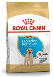 Royal Canin Puppy Labrador Retriever 3kg Ξηρά Τροφή για Κουτάβια Μεγαλόσωμων Φυλών με Πουλερικά, Ρύζι και Καλαμπόκι από το Plus4u