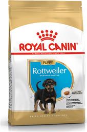 Royal Canin Puppy Rottweiler 3kg Ξηρά Τροφή για Κουτάβια Μεγαλόσωμων Φυλών με Πουλερικά και Ρύζι από το Plus4u