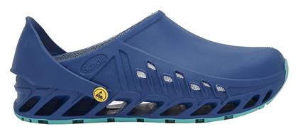 Scholl Ανατομικά Σαμπό