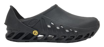 Scholl Ανατομικά Σαμπό