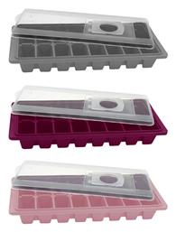 Sidirela Παγοθήκη Ορθογώνια Πλαστική 16 Θέσεων με Καπάκι Πολύχρωμη E-0146