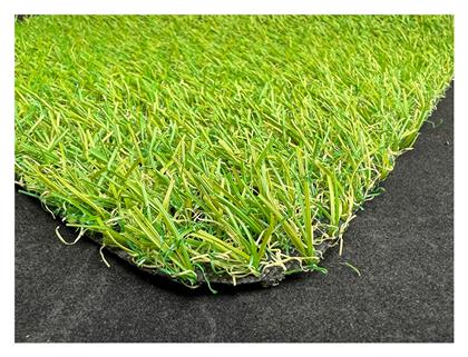 ΧΛΟΟΤΑΠΗΤΕΣ