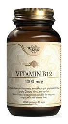 Sky Premium Life Vitamin B12 Βιταμίνη για την Υγεία του Νευρικού Συστήματος 1000mcg 60 κάψουλες