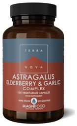 TerraNova Astragalus Elderberry & Garlic Συμπλήρωμα για την Ενίσχυση του Ανοσοποιητικού 100 φυτικές κάψουλες από το Pharm24