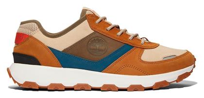Timberland Winsor Park Oxford Sneakers Πολύχρωμα