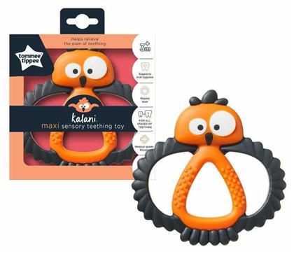 Tommee Tippee Μασητικό Οδοντοφυΐας για 3 m+