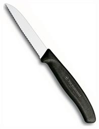 Victorinox Swiss Classic Μαχαίρι Γενικής Χρήσης από Ανοξείδωτο Ατσάλι 8cm από το Plus4u