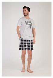 Vienetta Secret 1XL4XL