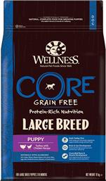 Wellness Core Large Breed Puppy 10kg από το Plus4u