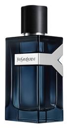 Ysl Y Intense